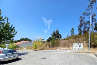 Terreno para Venda em Mouriscas