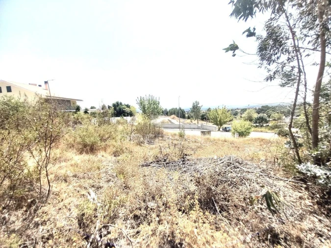 Terreno para Venda em Mouriscas Foto 4