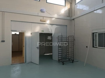 Armazém para Arrendamento em Montoito
