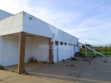 Armazém para Arrendamento em Montoito