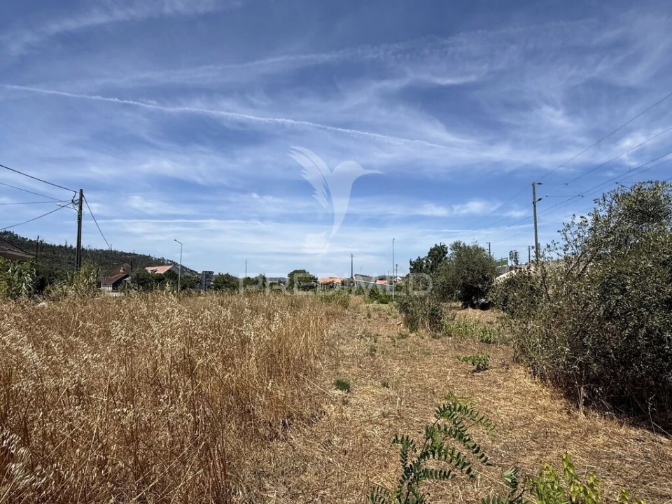 Terreno para Venda em Fatima Foto 9