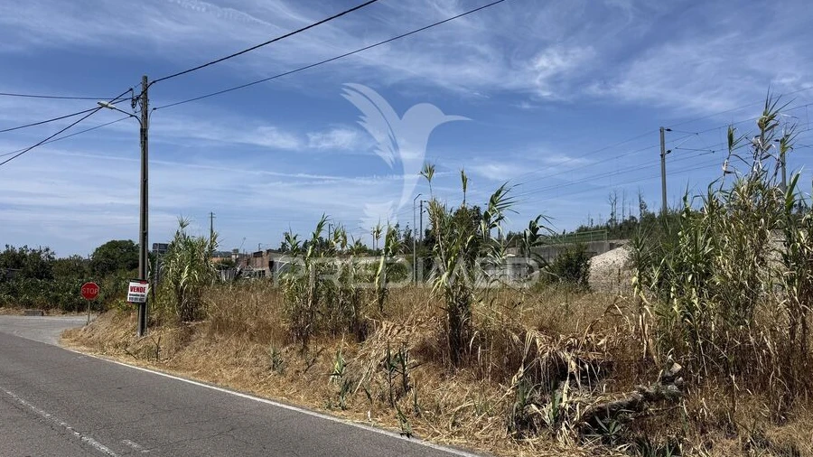 Terreno para Venda em Fatima