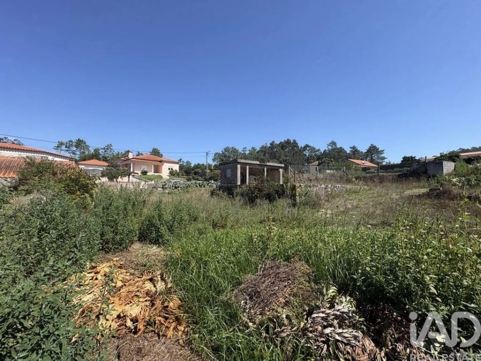 Terreno para Venda em Antas Foto 8