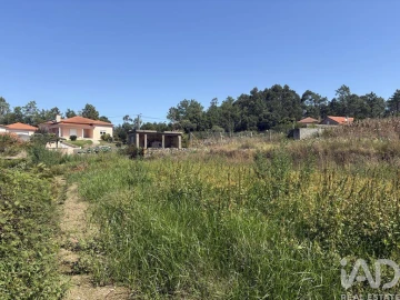Terreno para Venda em Antas
