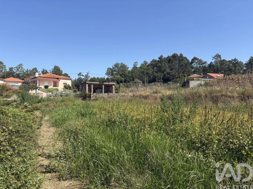 Terreno para Venda em Antas Foto 5