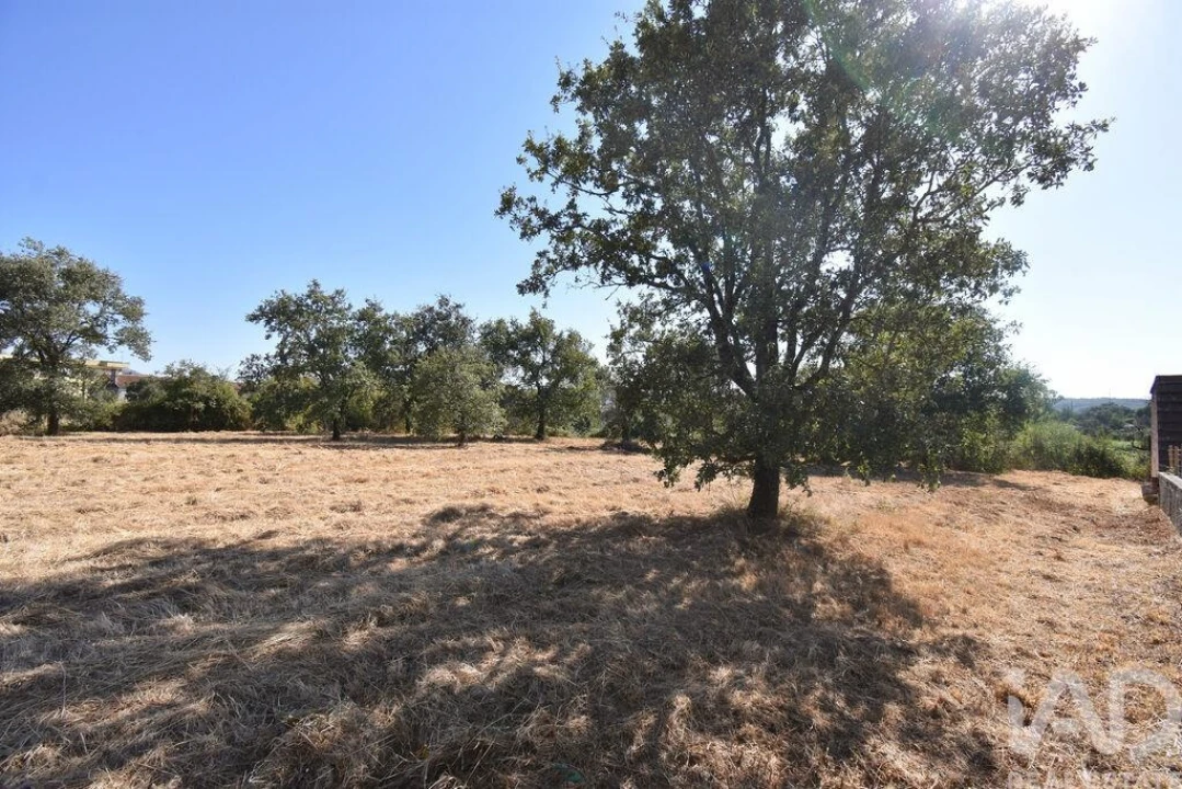 Terreno para Venda em Avelar Foto 19