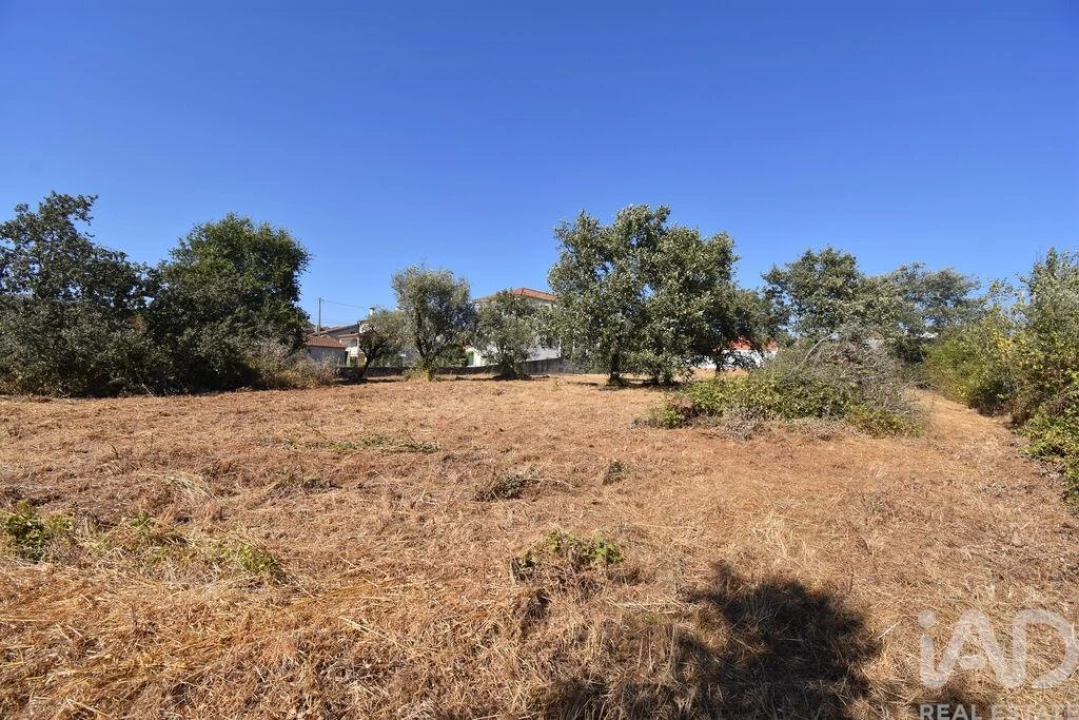 Terreno para Venda em Avelar Foto 15