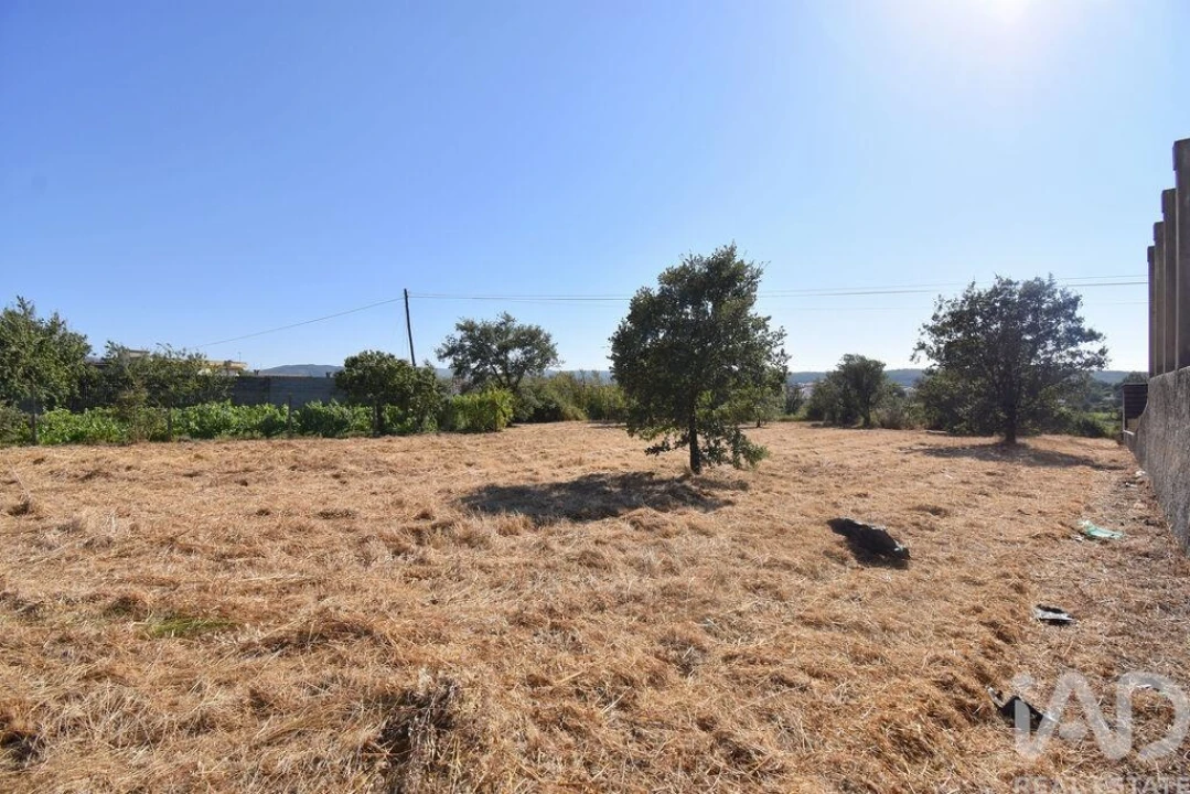 Terreno para Venda em Avelar Foto 21