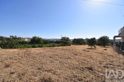 Terreno para Venda em Avelar