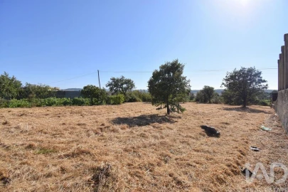 Terreno para Venda em Avelar
