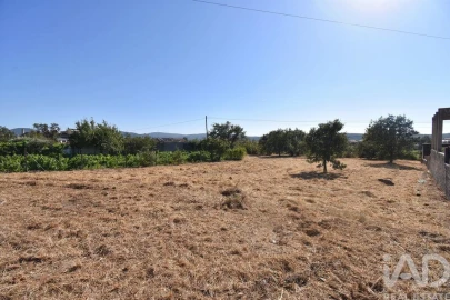 Terreno para Venda em Avelar