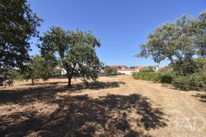 Terreno para Venda em Avelar