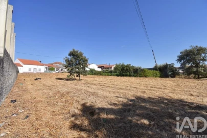 Terreno para Venda em Avelar