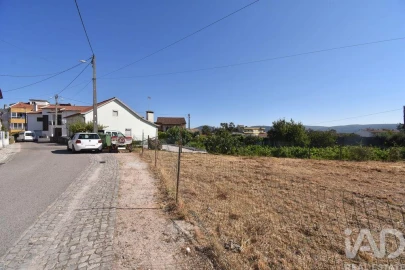 Terreno para Venda em Avelar