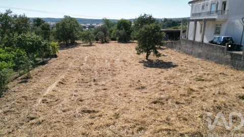 Terreno para Venda em Avelar