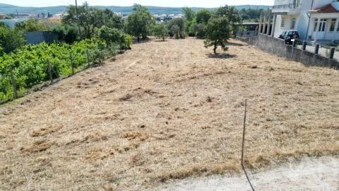 Terreno para Venda em Avelar