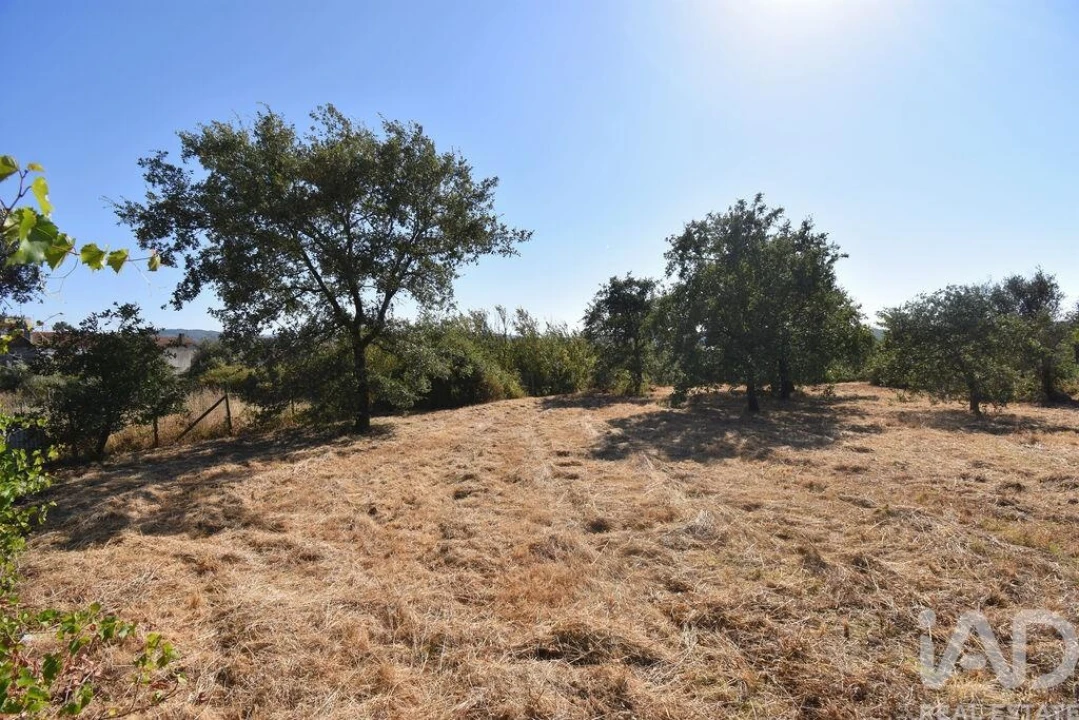 Terreno para Venda em Avelar Foto 12