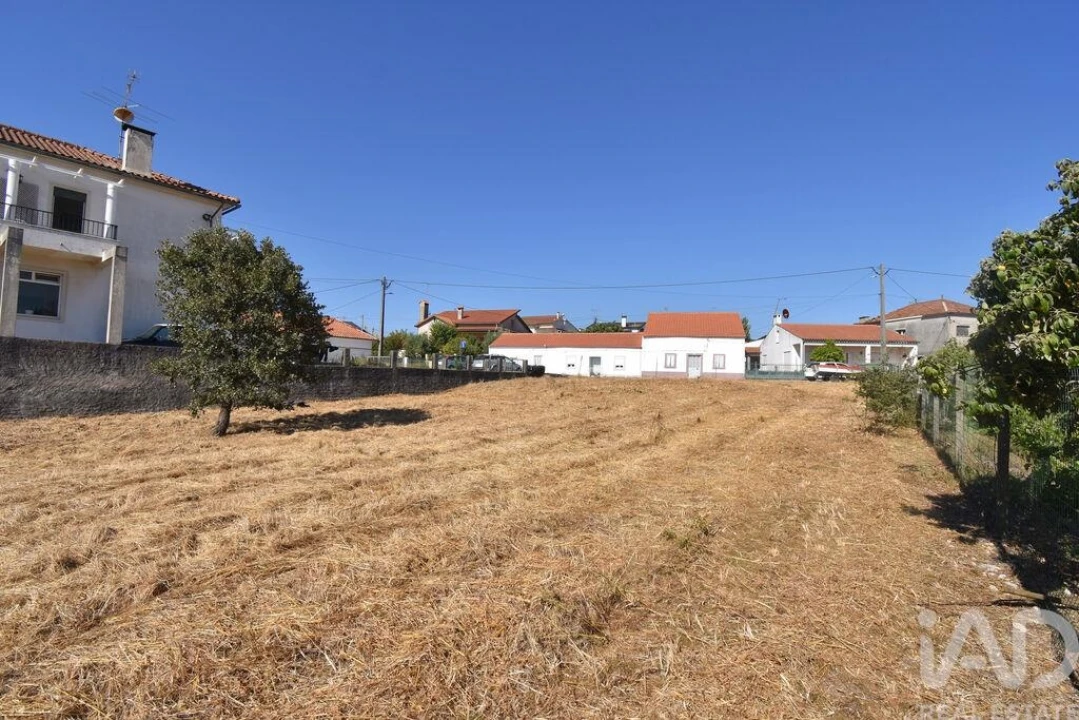 Terreno para Venda em Avelar Foto 11
