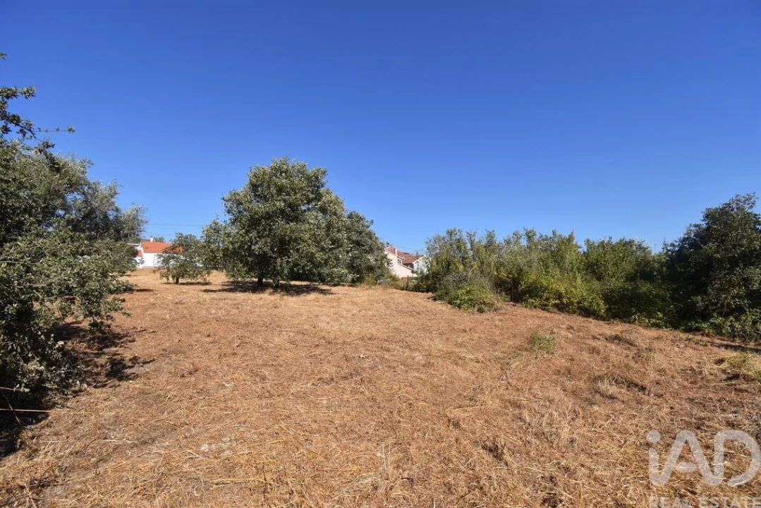Terreno para Venda em Avelar Foto 16