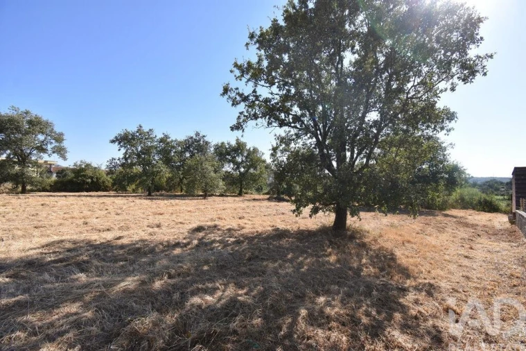 Terreno para Venda em Avelar Foto 19