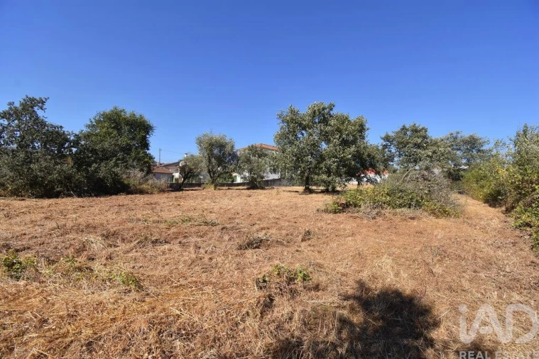 Terreno para Venda em Avelar Foto 15