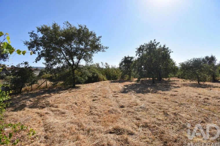 Terreno para Venda em Avelar Foto 12