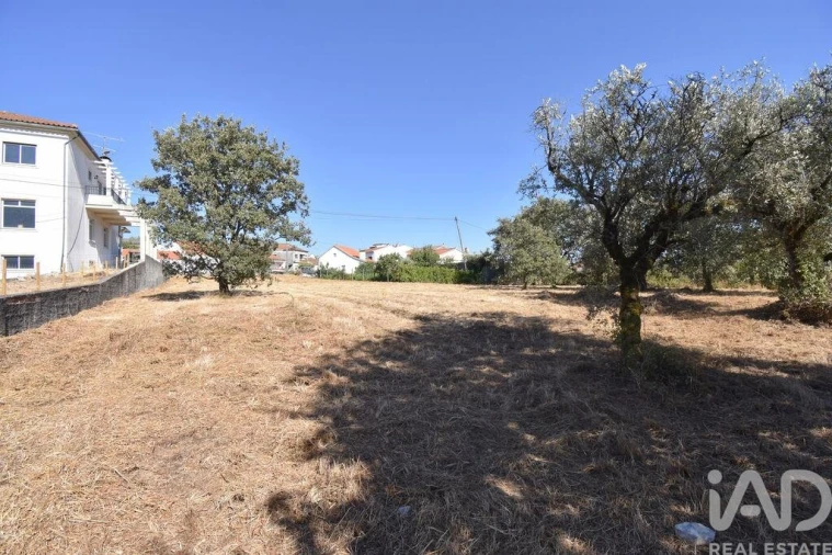 Terreno para Venda em Avelar Foto 17