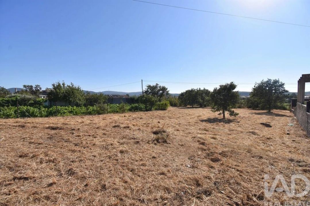 Terreno para Venda em Avelar Foto 22