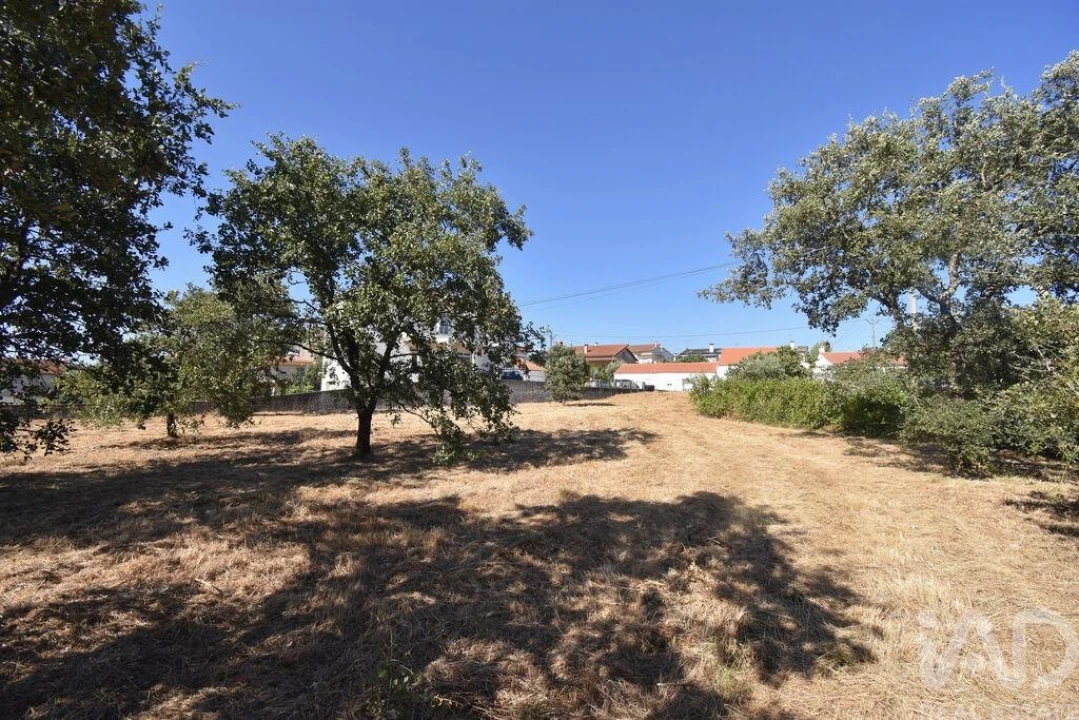 Terreno para Venda em Avelar Foto 14