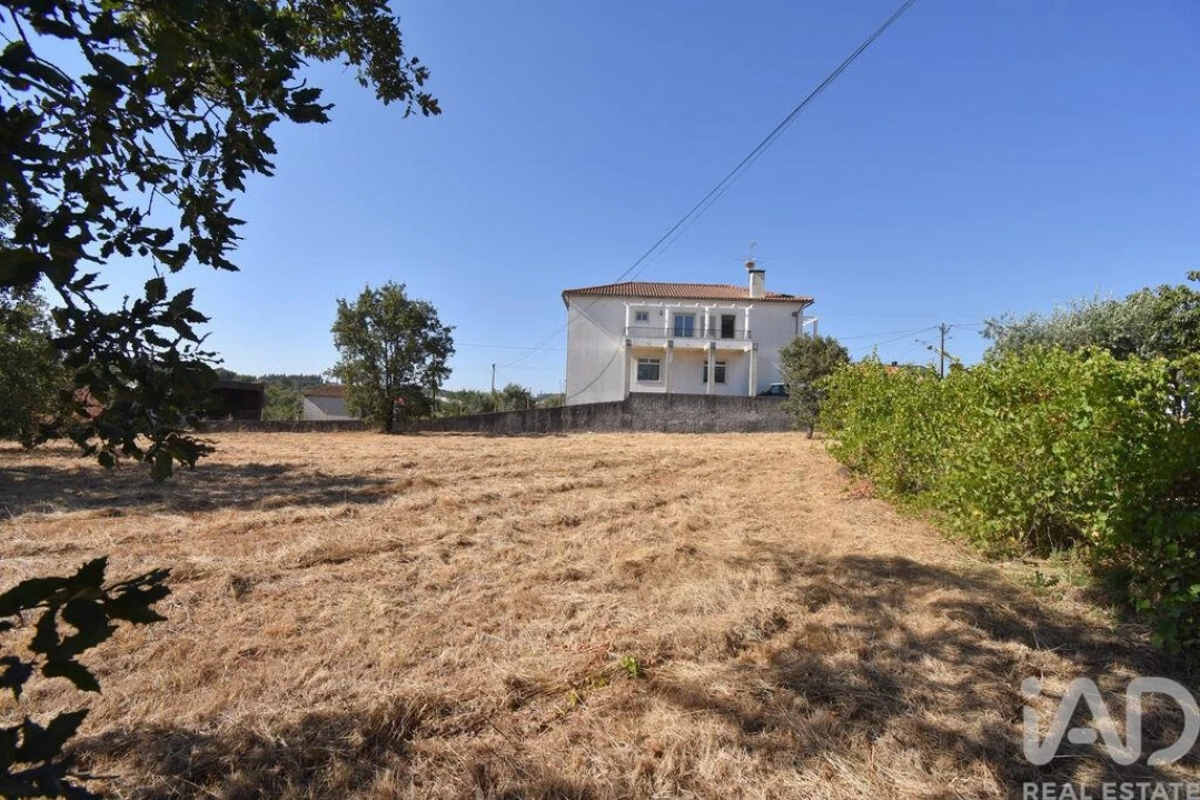 Terreno para Venda em Avelar Foto 13