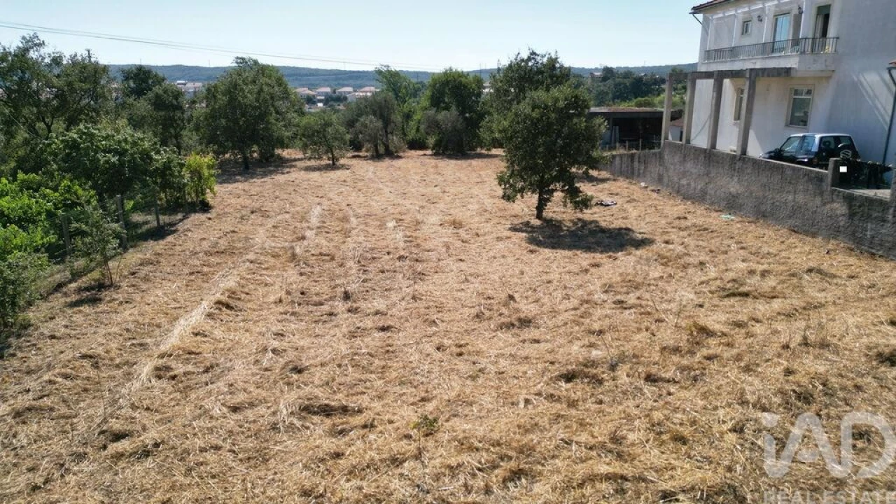 Terreno para Venda em Avelar Foto 3