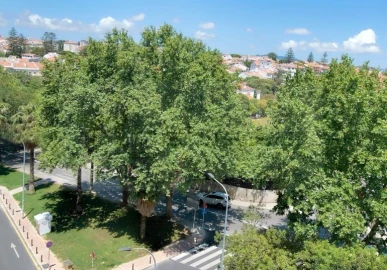 Apartamento T3 para Venda em Oeiras e São Julião da Barra, Paço de Arcos e Caxias