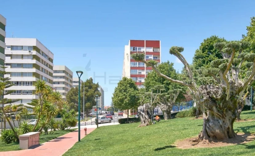 Apartamento T3 para Venda em Oeiras e São Julião da Barra, Paço de Arcos e Caxias Foto 2
