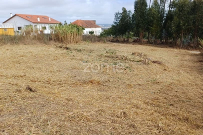 Terreno para Venda em Lavos