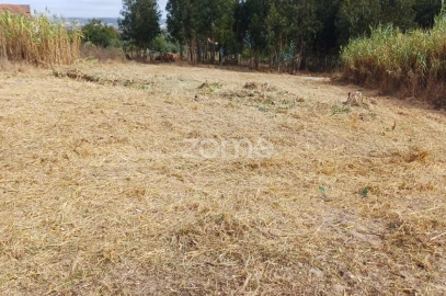Terreno para Venda em Lavos