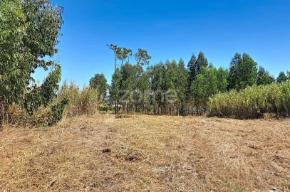 Terreno para Venda em Lavos