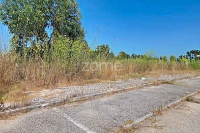 Terreno para Venda em Lavos