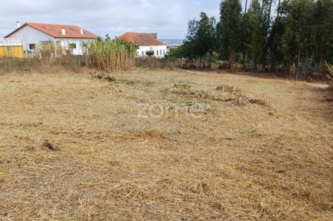 Terreno para Venda em Lavos Foto 2