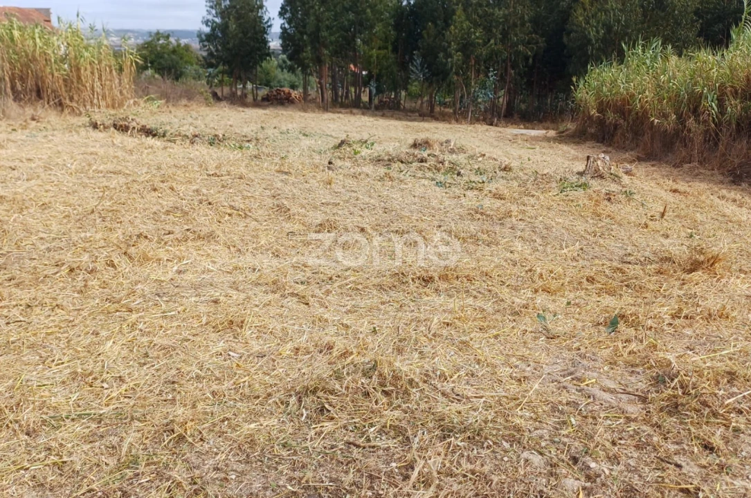Terreno para Venda em Lavos Foto 19