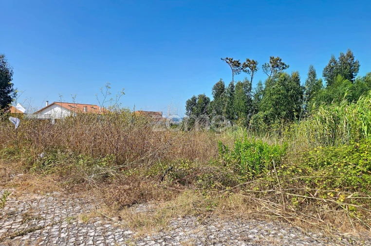 Terreno para Venda em Lavos Foto 13