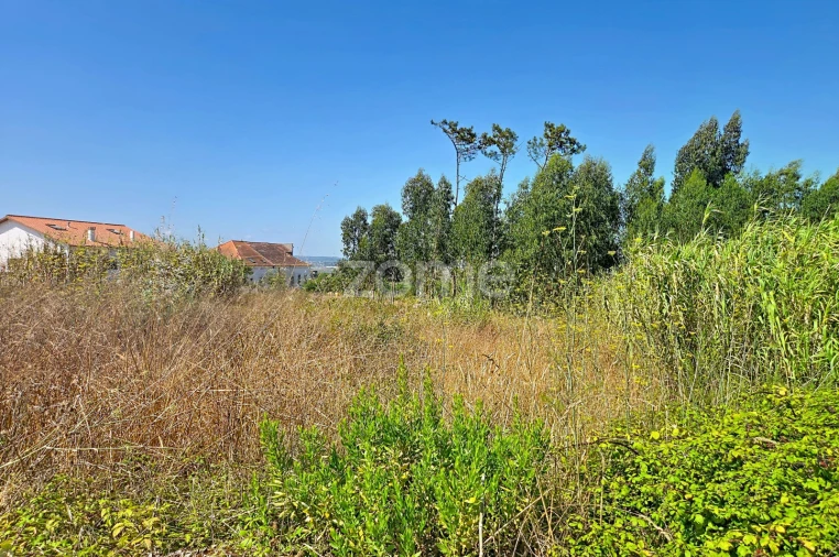 Terreno para Venda em Lavos Foto 16