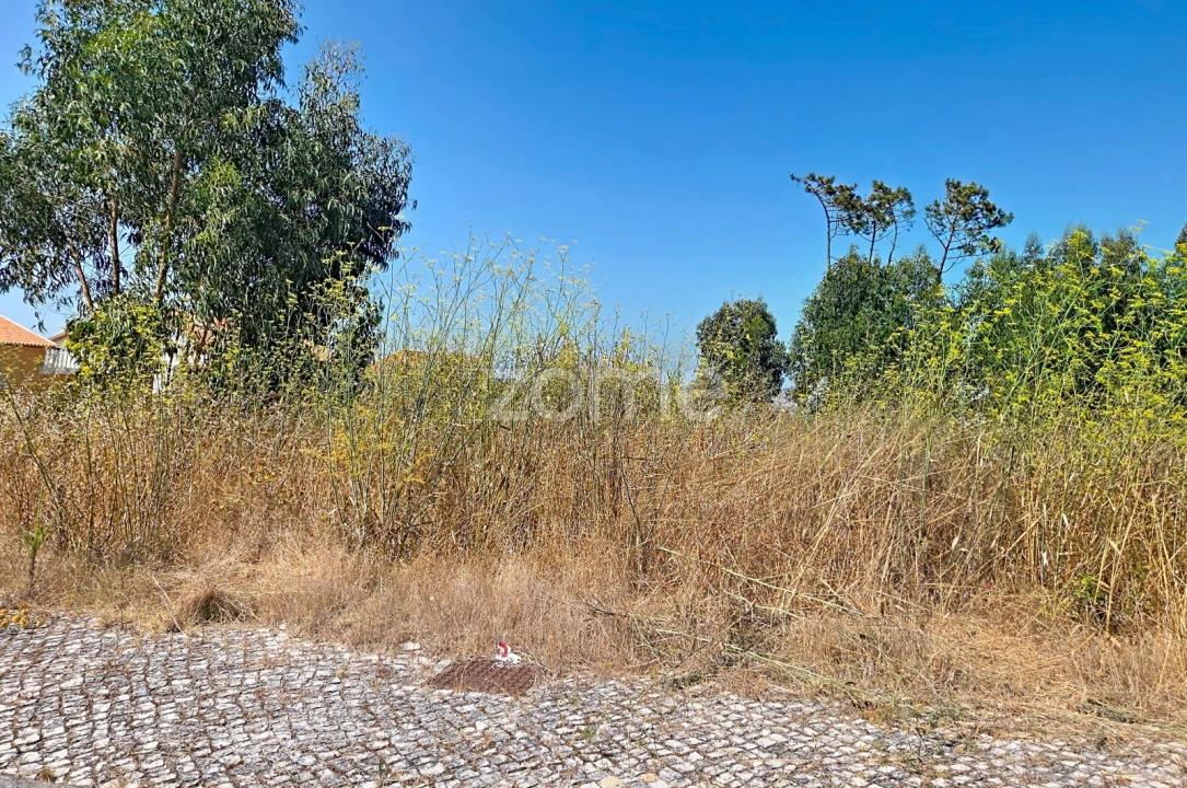 Terreno para Venda em Lavos Foto 4