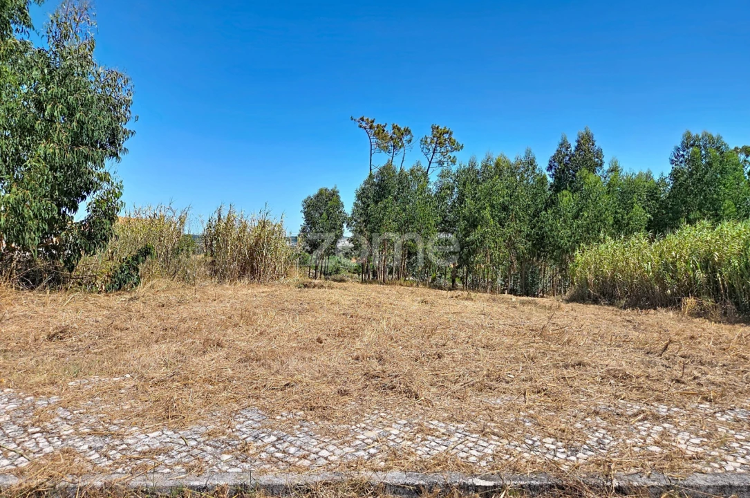 Terreno para Venda em Lavos Foto 5
