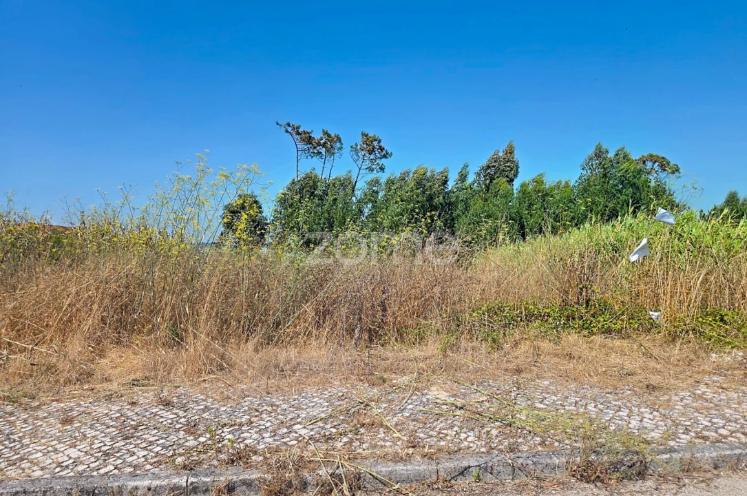 Terreno para Venda em Lavos Foto 5