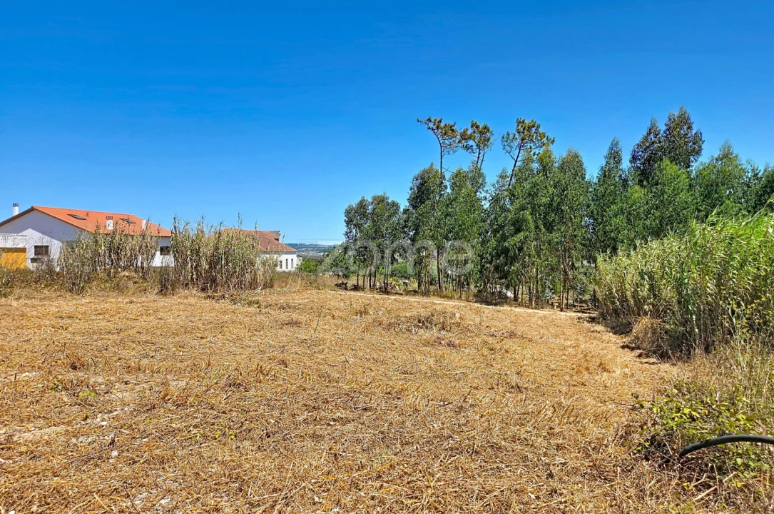 Terreno para Venda em Lavos Foto 3