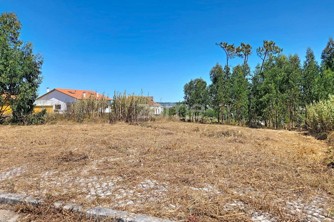Terreno para Venda em Lavos Foto 6
