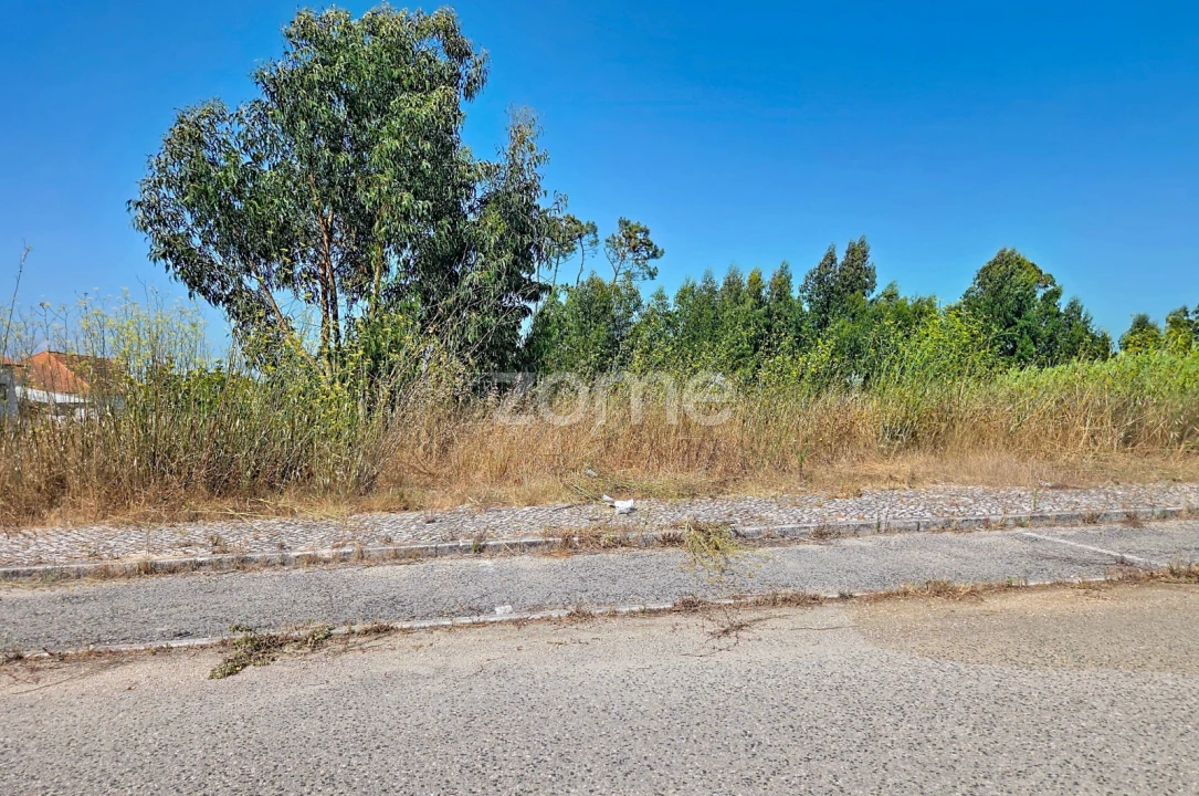Terreno para Venda em Lavos Foto 7