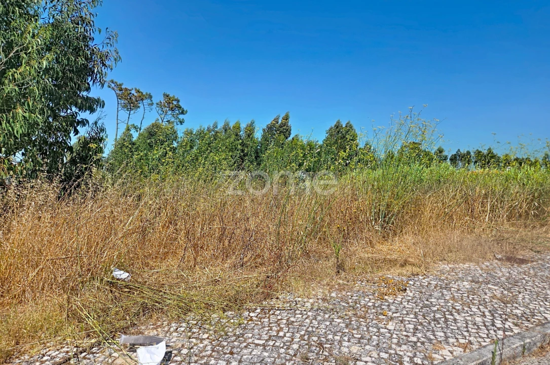Terreno para Venda em Lavos Foto 1