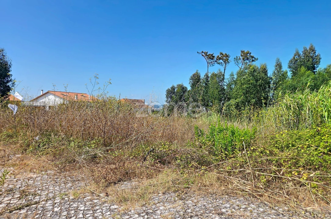 Terreno para Venda em Lavos Foto 13