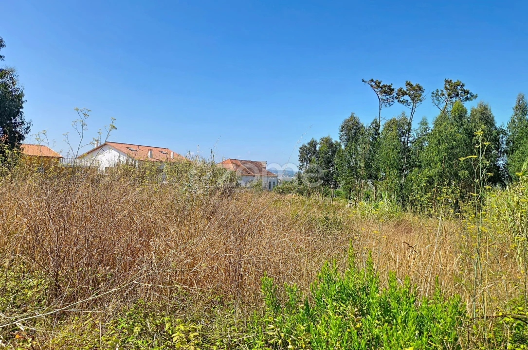 Terreno para Venda em Lavos Foto 15